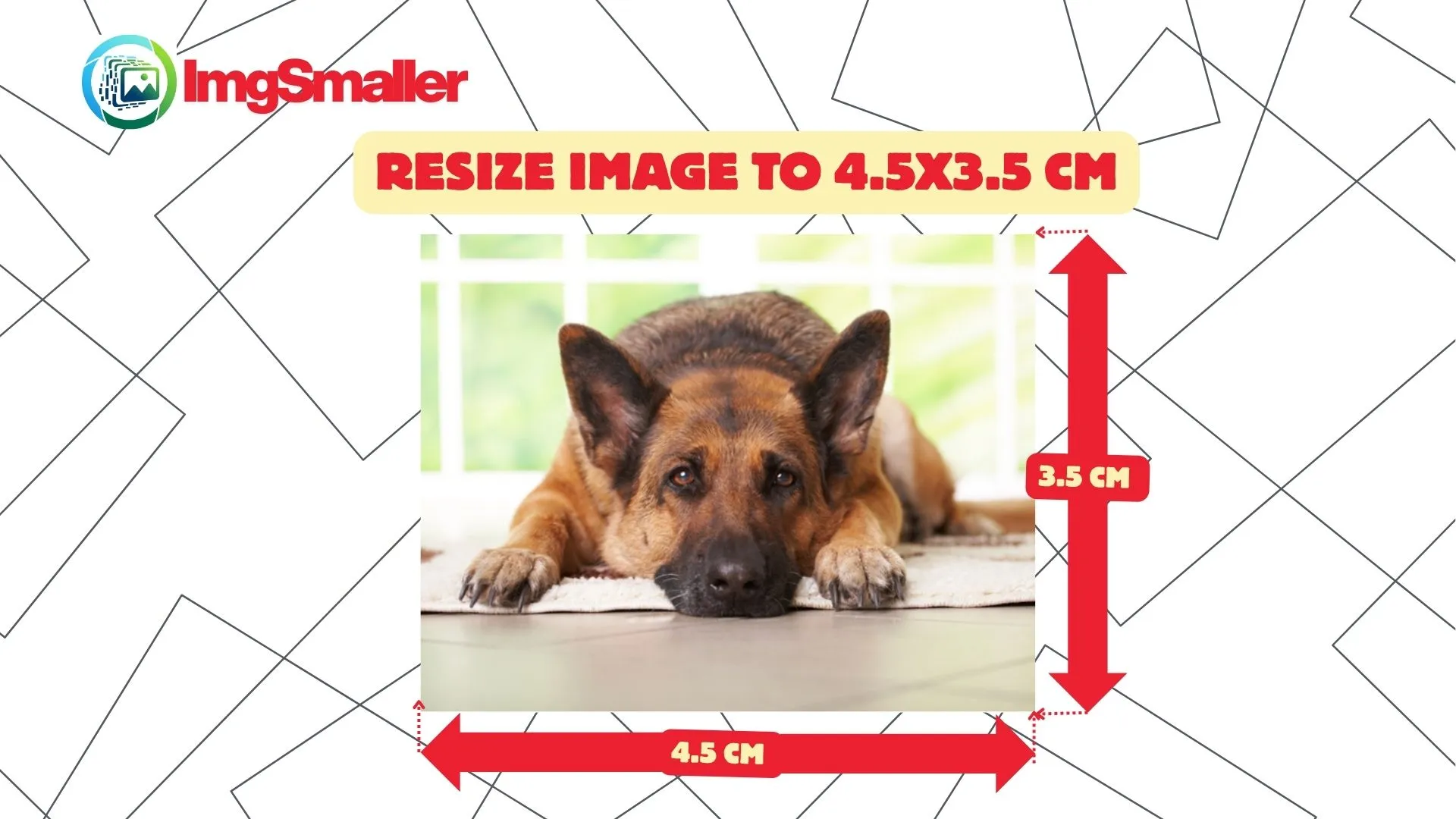 Resize image to 4.5 x 3.5 cm preview