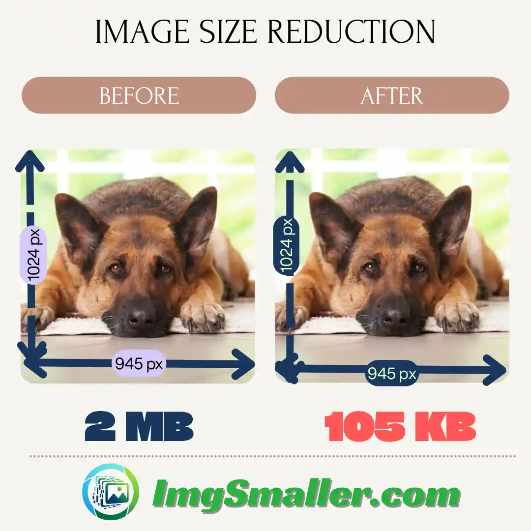 Size reduction image